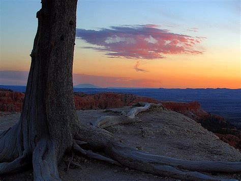 Free picture: sunrise, canyon