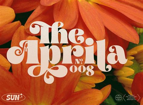 Aprila Font Family | Hippie font, Funky fonts, Top fonts