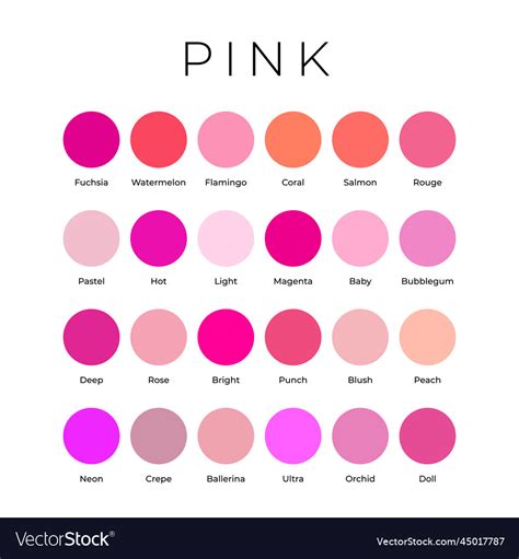 Pink color shades swatches palette with names Vector Image
