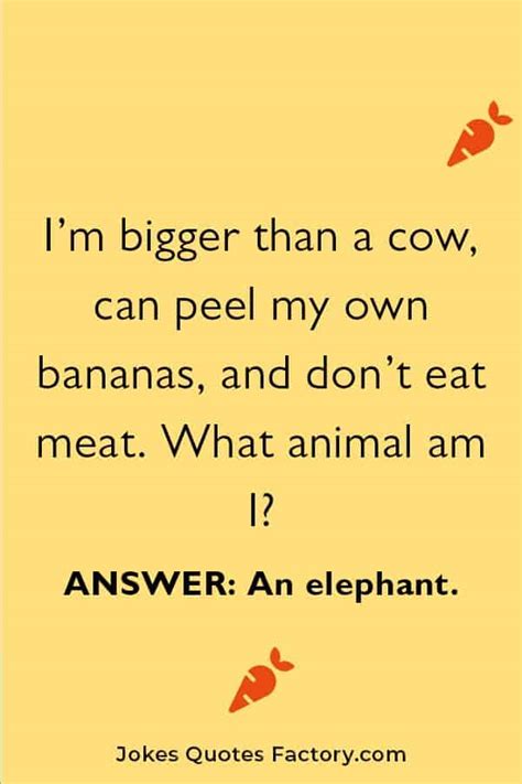 Top 161+ Easy animal riddles with answers - Merkantilaklubben.org