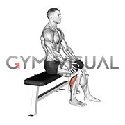 Weighted Seated Single Calf Raise (VERSION 2)