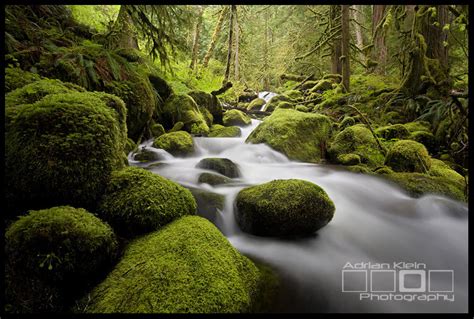 The Gorge Waterfalls and Streams - My Favorites - Photo Cascadia