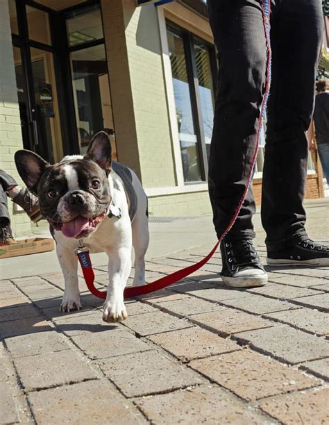 Pet Friendly Place to Stay in Lawrence, Kansas