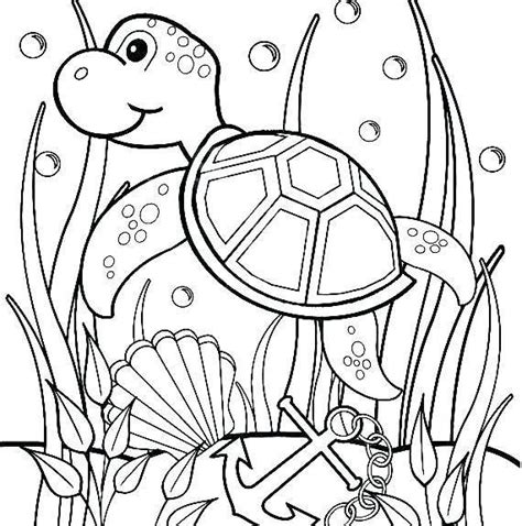 Turtle Coloring Pages PDF - Coloringfolder.com | Turtle coloring pages, Detailed coloring pages ...