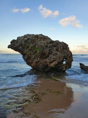 Bathsheba Beach - 2020 All You Need to Know BEFORE You Go (with Photos) - Tripadvisor