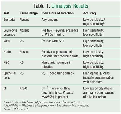 Interpretation of Urinalysis and Urine Culture for UTI Treatment