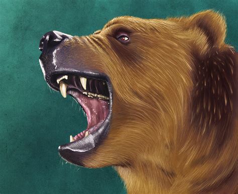 mad bear by chunkysmurf on deviantART