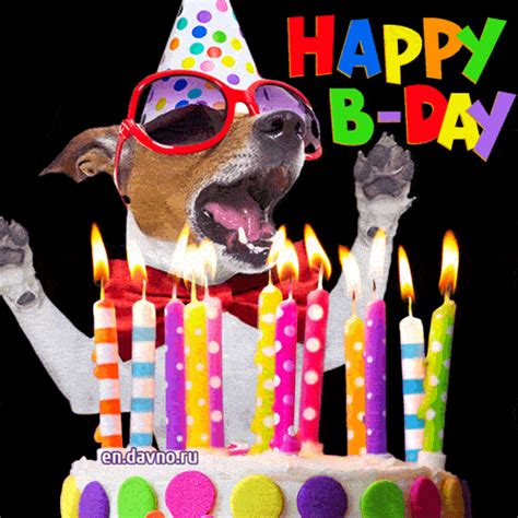 Birthday Wishes Happy Birthday Gif Funny Dog