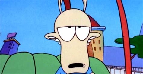 'Rocko's Modern Life' Reboot Better Keep the Gross Jokes