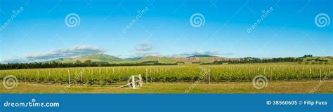 Winery of New Zealand stock image. Image of harvest, scenic - 38560605