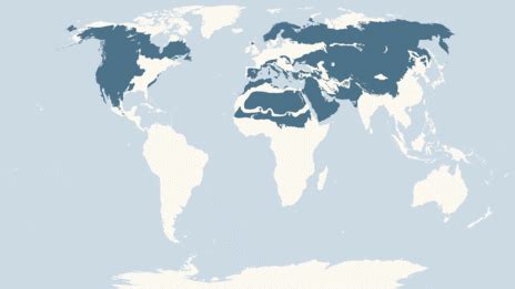 Eagle Locations On World Map