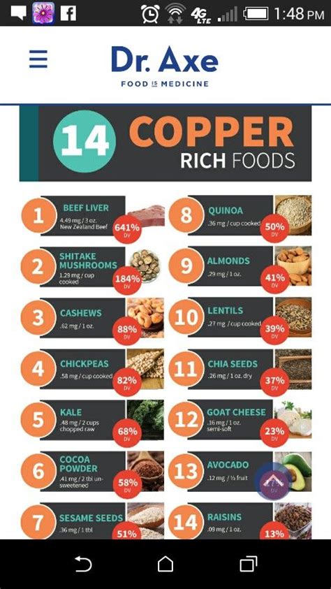 Copper-Rich Foods Nutrition Recipes, Health And Nutrition, Health And Wellness, Nutrition Facts ...