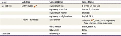 Macrolides | Basicmedical Key