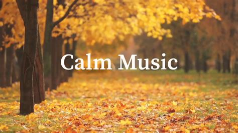 Calm Music | Relaxing Music | Soft Music | Sleeping Music | Chill Music ...