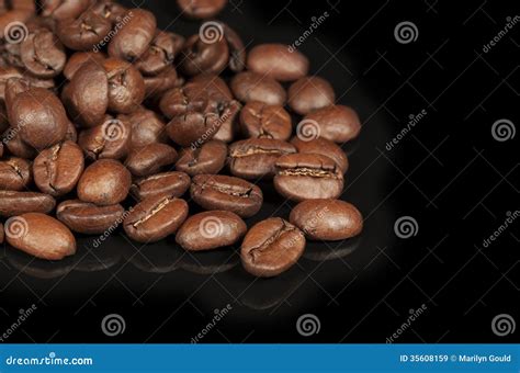 Coffee Beans Black Background Stock Image - Image of coffee, gould: 35608159