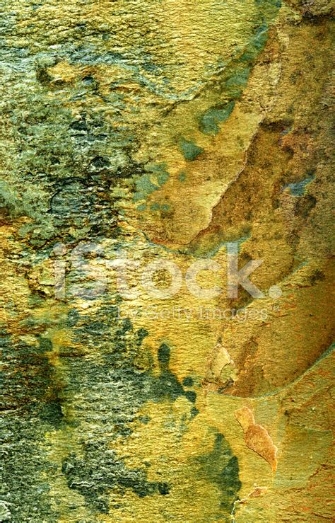 Stone Oxidized Texture 01 Stock Photo | Royalty-Free | FreeImages