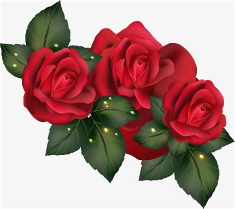 Vector Red Rose PNG Images, Vector, Red, Rose PNG Transparent ...