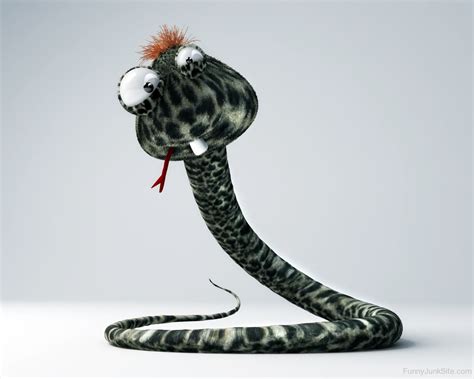 Funny Snake Pictures