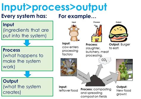 Input Output Machine Examples