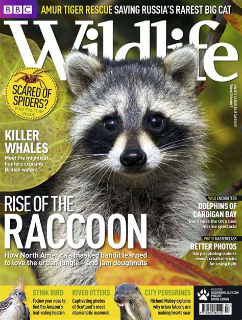 Ebook for children: [Fshare] BBC Wildlife Magazine - July 2011 (UK)