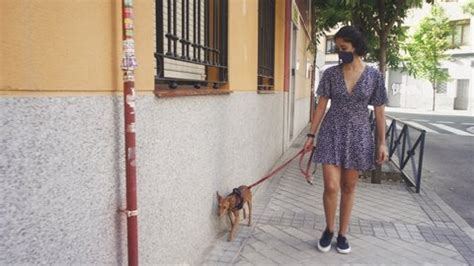 Woman Walking Dog On Sidewalk Mask Stock Footage Video (100% Royalty ...