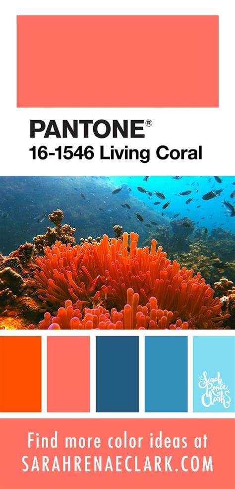 25 Color Palettes Inspired by Ocean Life and PANTONE Living Coral | Coral colour palette, Beach ...