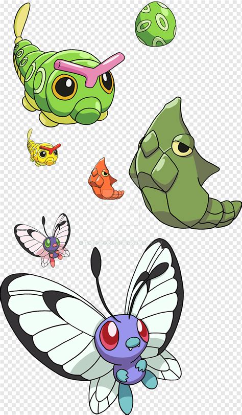 Caterpie Evolution Chart Pokemon ruby evolution chart: pokemon