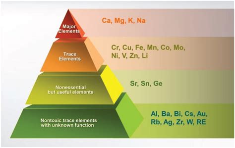 Classification of metallic elements in the human body. | Download Scientific Diagram