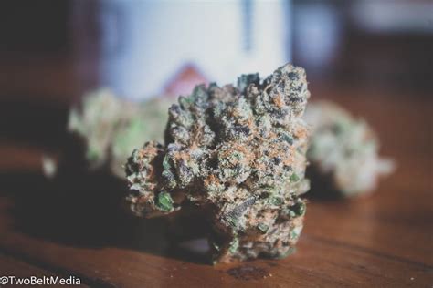 Mama J's Scooby Snacks Strain Is A Stanky Citrus Treat - Review