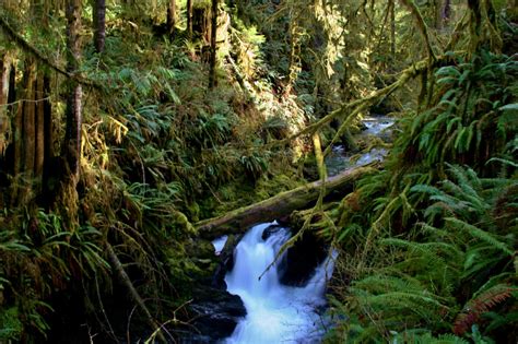 Grays Harbor Tourism | Blog