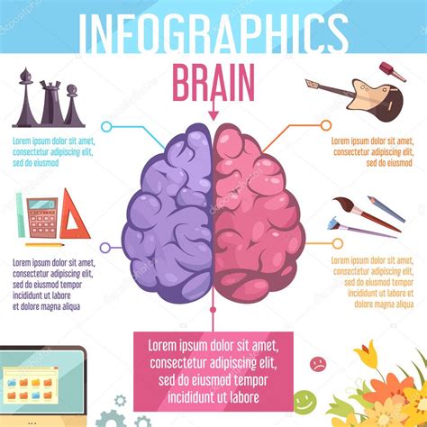 Hemisferios cerebrales Funciones Cartel Infográfico 2023