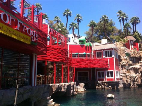 Senor Frog's has long been famous as one of the premier party spots in Mexico and the Caribbean ...