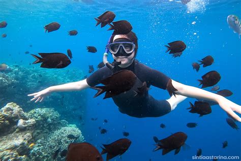 Pengalaman Pertama Snorkeling di Taman Laut Bunaken Manado