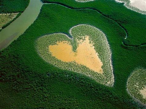 Heart by Nature, beautiful, nature, heart HD wallpaper | Pxfuel