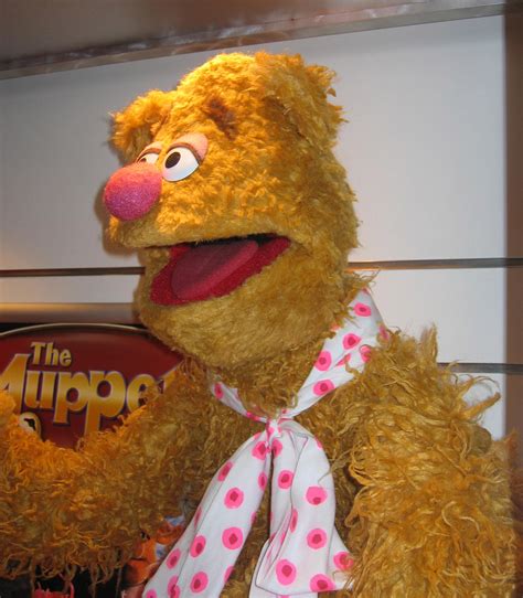 Fozzie Bear photo puppet replica | Muppet Wiki | FANDOM powered by Wikia