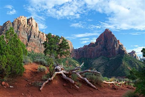 Is Watchman Trail the Easiest Hike in Zion National Park