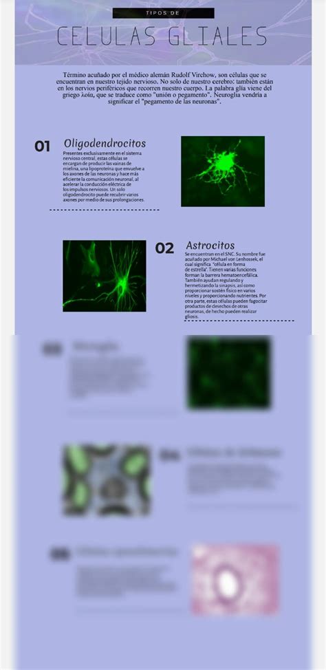 SOLUTION: Tipos de celulas gliales - Studypool