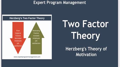 Two Factor Theory | Herzberg's Theory of Motivation - YouTube