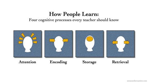 A Cognitive Model for Educators: Attention, Encoding, Storage ...