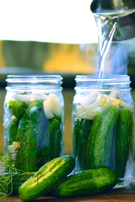 Easy Cucumber Canning Recipes