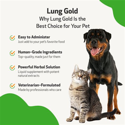 Lung Gold - Lower Respiratory Tract Support for Cats | Pet Wellbeing