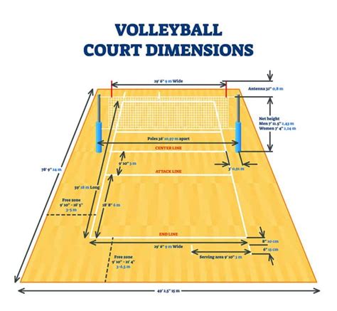 Volleyball Court Dimensions - What You Should Know - Homenish