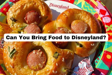 Bringing Food Into Disneyland: A Comprehensive Guide - Julia Vaness