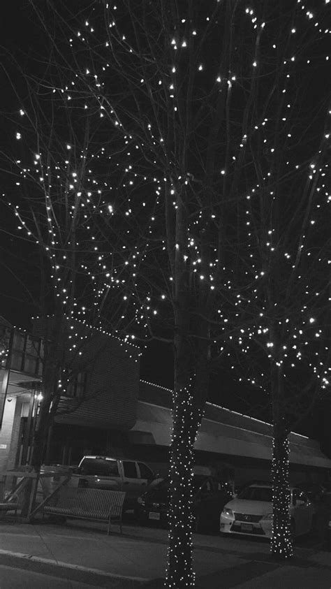 Fairy lights in trees HD phone wallpaper | Pxfuel