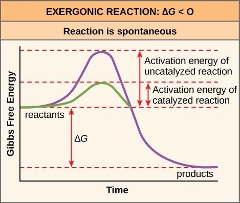 Activation Energy And Temperature