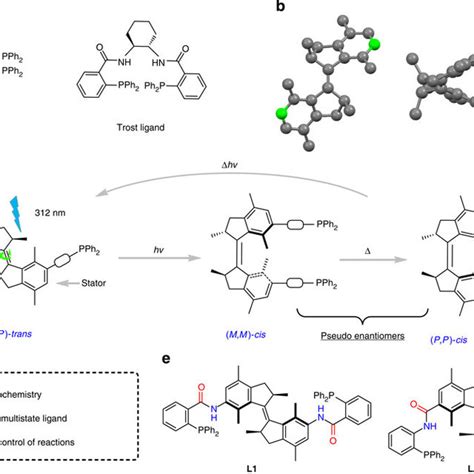 Chiral photoresponsive phosphine ligands. (a) Traditional C2-symmetric... | Download Scientific ...