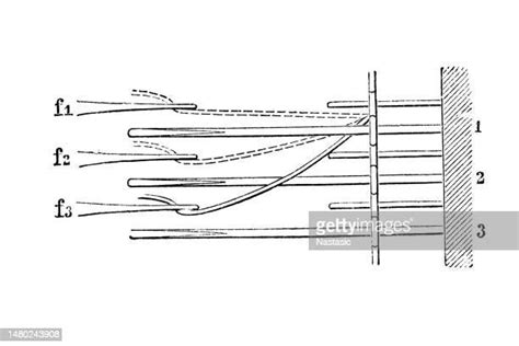 62 Needle Thread And Knot Stock Photos, High-Res Pictures, and Images ...