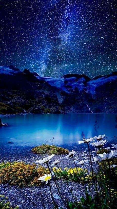 Cielo estrellado, lago con flores alrededor