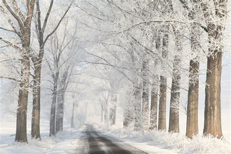 Imágene Experience: Hermoso paisaje de invierno - Amazing winter landscape