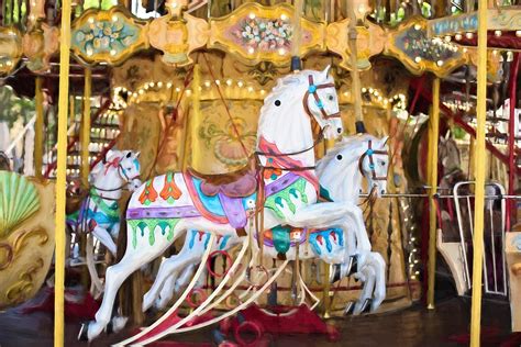 Download Carousel Horses, Carousel, Horse. Royalty-Free Stock Illustration Image - Pixabay